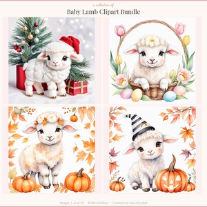 Könnte beinhalten: Eine digitale Sammlung von Baby Lamb Clipart Bundle mit vier Illustrationen. Ein Lamm trägt eine rote Weihnachtsmütze neben einem Weihnachtsbaum. Ein anderes sitzt in einem Korb mit Tulpen und Ostereiern. Zwei weitere sind von Herbstblättern und Kürbissen umgeben.