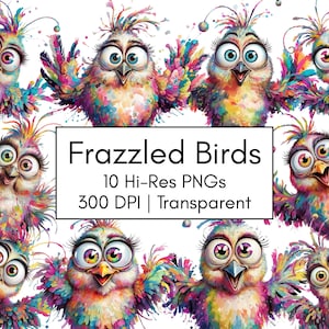 Quirky Bird Clipart Bundle, Frazzled Rainbow Bird PNG, Whimsical Bird Watercolor Png, Silly Crazy Birds, Junk Journal, Card Making Digital