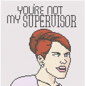 You're Not My Supervisor image 1