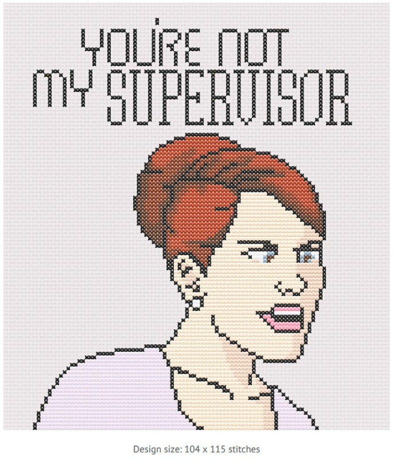 You're Not My Supervisor image 1