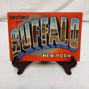 Vintage ongebruikte postkaart souvenir van Buffalo, New York 18 View Card Folder