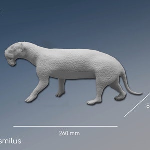 THYLACOSMILUS ATROX, model, paleoartistische reconstructie, wetenschappelijk accuraat model, prehistorische dierenminimum