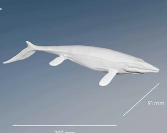 MOSASAURUS HOFFMANNI, 3D Print,scientifically accurate model,paleoartistic reconstruction