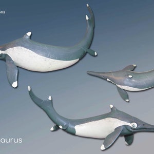 MIXOSAURUS CORNALIANUS, model, paleoartistische reconstructie, wetenschappelijk accuraat model