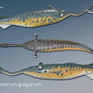TULLIMONSTRUM GREGARIUM, model, paleoartistic reconstruction, scientifically accurate model, 3d figure printed, prehistoric animal figures