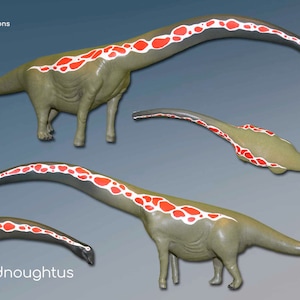 DREADNOUGHTUS SCHRANI, Modell, paläoartistische Rekonstruktion, wissenschaftlich genaues Modell, Sauropod, 3D-Dinosaurier-Miniatur