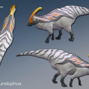 PARASAUROLOPHUS WALKERI, paläokünstlerische Rekonstruktion, wissenschaftlich genaues Modell, 3D-gedruckte Paläoskulptur