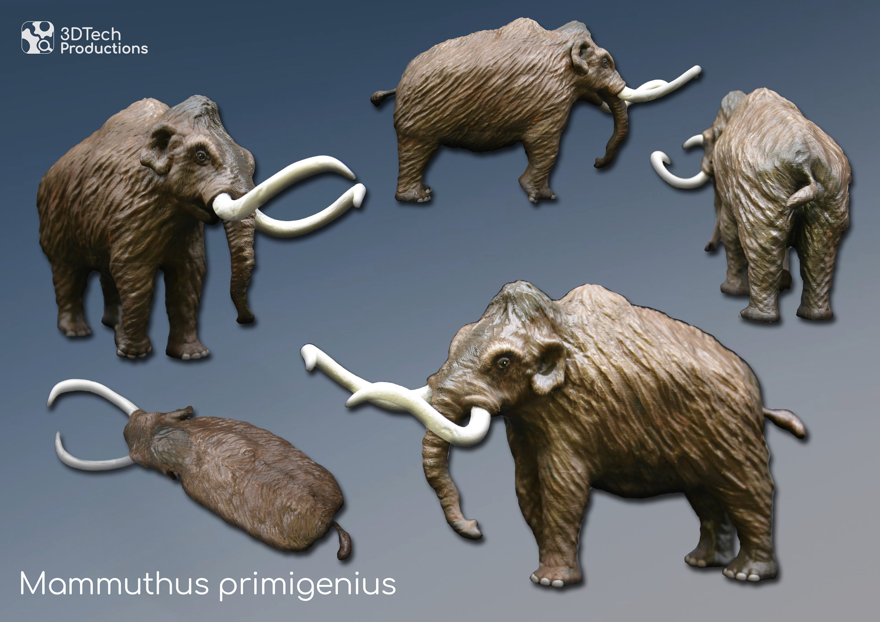 MAMMUTHUS PRIMIGENIUS、マンモスのモデル、古芸術的復元、科学的に