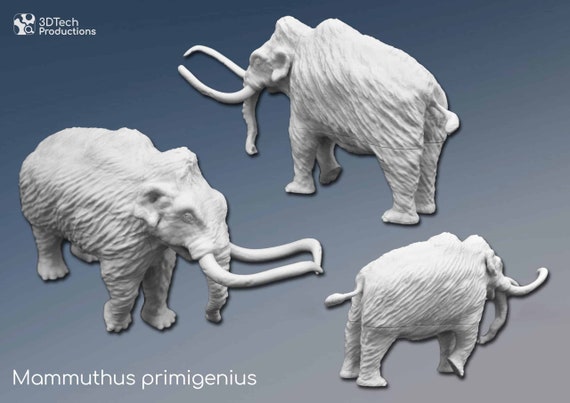 中国古美術品　マンモス　象置物　356g Amazon.co.jp: マンモス 象 置物 オブジェ 動物 インテリア 茶寵