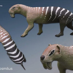 THYLACOSMILUS ATROX, model, paleoartistische reconstructie, wetenschappelijk accuraat model, prehistorische dierenminimum