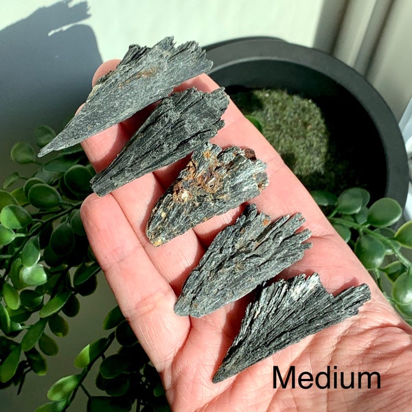 Beautiful Black Kyanite Blade | Natural Crystals, Rough Black Kyanite