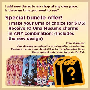 May include: A collection of ten rectangular fabric charms featuring embroidered Uma Musume character designs in pink, blue, and red, alongside a black graphic icon with a yellow question mark and the text Special bundle offer.