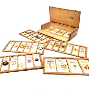 Pode incluir: Uma caixa de madeira vintage com tampa articulada, aberta para revelar várias lâminas de microscópio. Ao redor da caixa, há bandejas de madeira adicionais cheias de lâminas, cada uma exibindo vários espécimes. As lâminas são dispostas em fileiras.