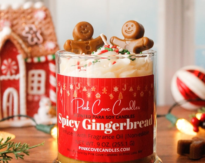 Spicy Gingerbread Coconut Soy Candle Warm and Spicy the Spicy