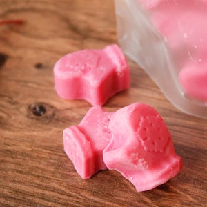 Sweater Weather Wax Melts - Cozy and Fresh Scent - Cool Mints, Seasonal Fruits, Oakmoss & Musk Blend | Fragrant Sweater Weather Wax Melts