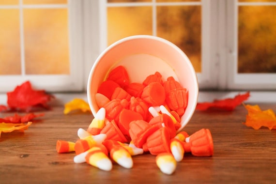 Halloween Wax Melt Mix: Pumpkin Spice and White Cake - 4oz Container