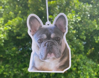 french bulldog onesie for adults
