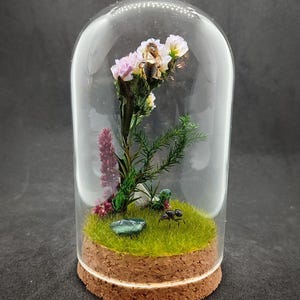 Entomologisk diorama, klockburk med två honungsbin, Apis mellifera, och en myra, drottning av Messor barbarus, naturligt diorama, insektssamling