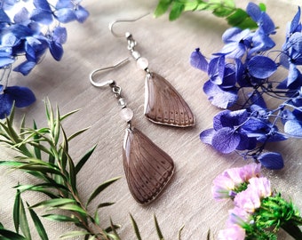 pair of butterfly wing earrings, resinated sevenia pechueli, magical jewel, fantastic, magical jewel, curiosities