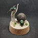 see more listings in the Curiosities section