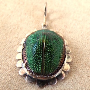 Authentic antique scarab and gold pendant
