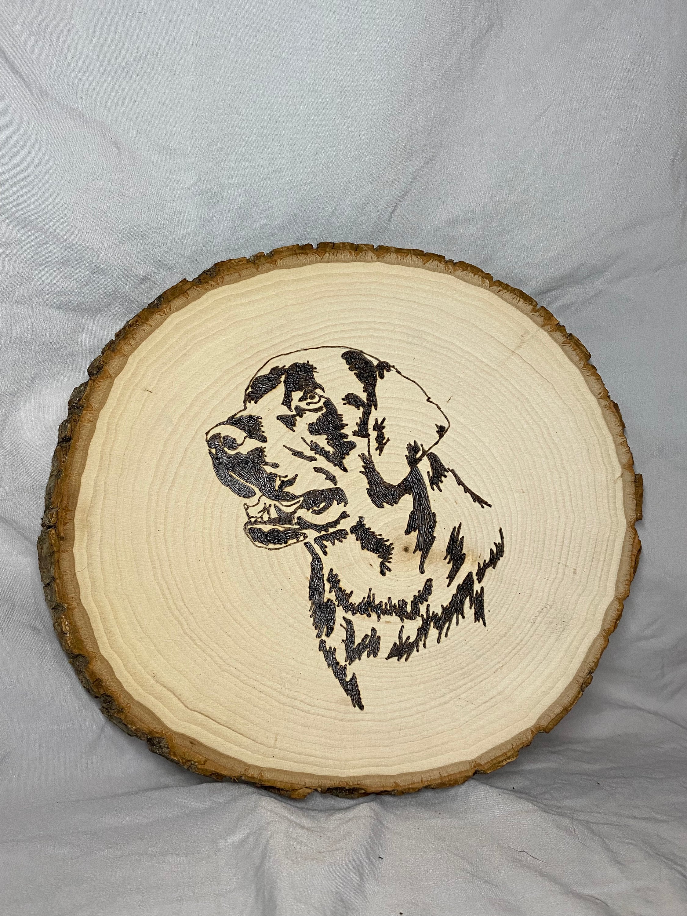 Can Dogs Eat Burnt Wood