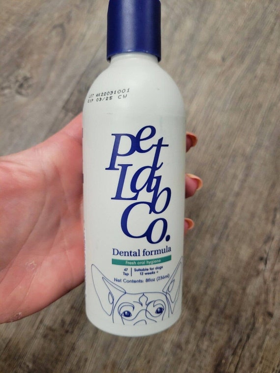 bearded dragon incubator for sale