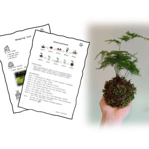 DIY Kokedama-instructies in het Engels - Wabi Sabi-stijl