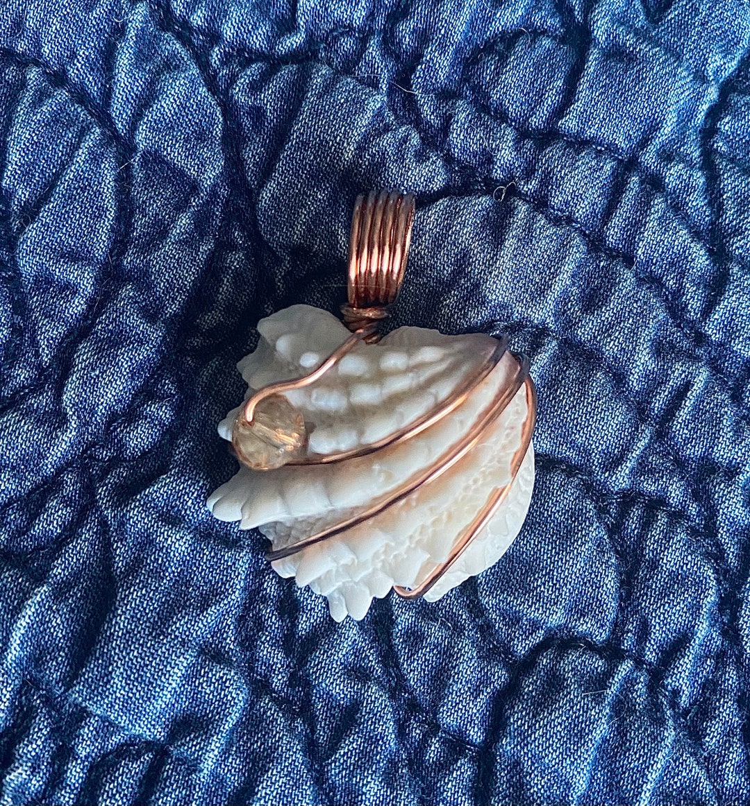 Wire Wrapped Spiny Jewel Box Seashell Pendant Etsy
