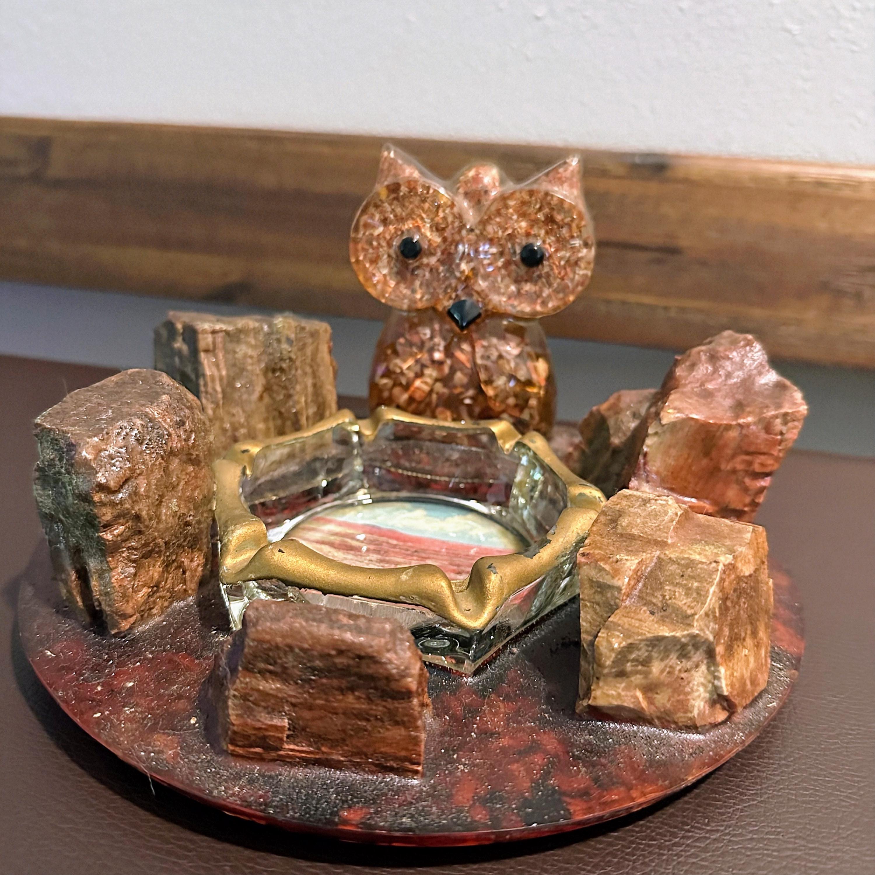 Petrified Wood Tray - Etsy