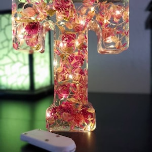 Custom LED Light Epoxy Resin Letter Handcrafted | Dried flowers decor | Boho aesthetic | Dried Flowers Decor| Foyer| Living Area or Bedroom