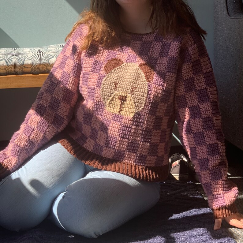 May include: A purple and brown crocheted jumper with a brown dog face design. The jumper has a checkered pattern.