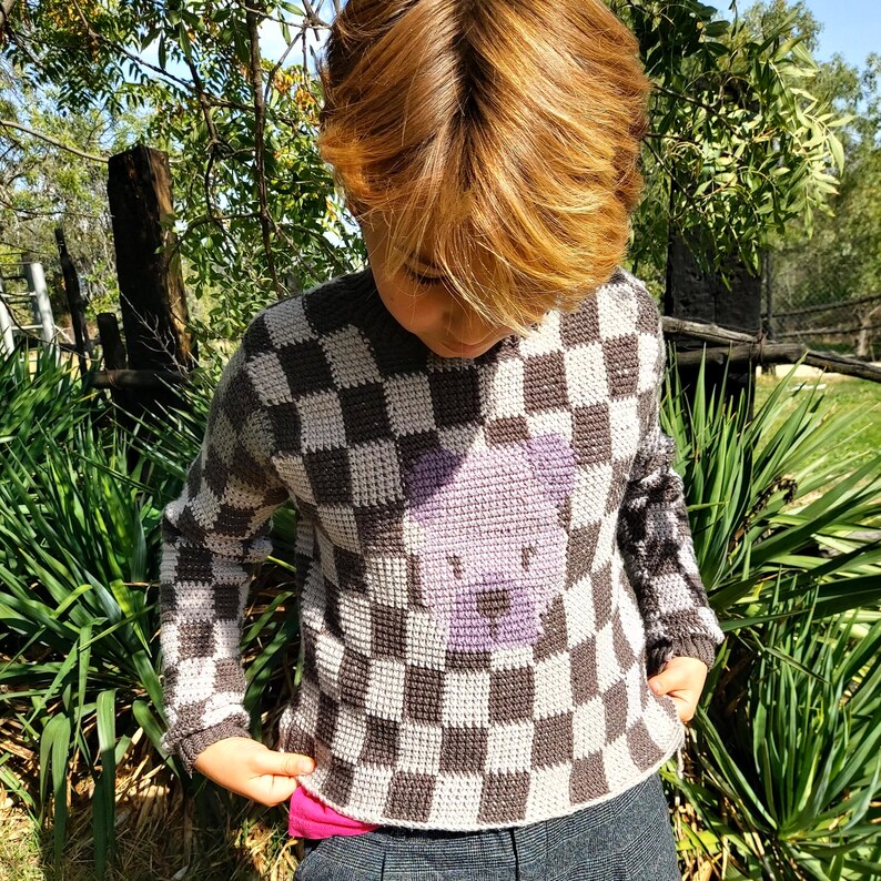 May include: A child wearing a black and white checked sweater with a purple cartoon animal design. The sweater is crocheted and has long sleeves.