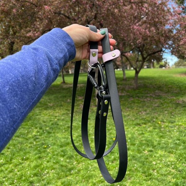 Multi-function Biothane Dog Leash