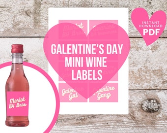 Galentine's Day Mini Weinflasche Etiketten | Sofortdownload | Valentinstag | Druckbares Etikett | Groß für Galentine Tagesgeschenke und Gefälligkeiten