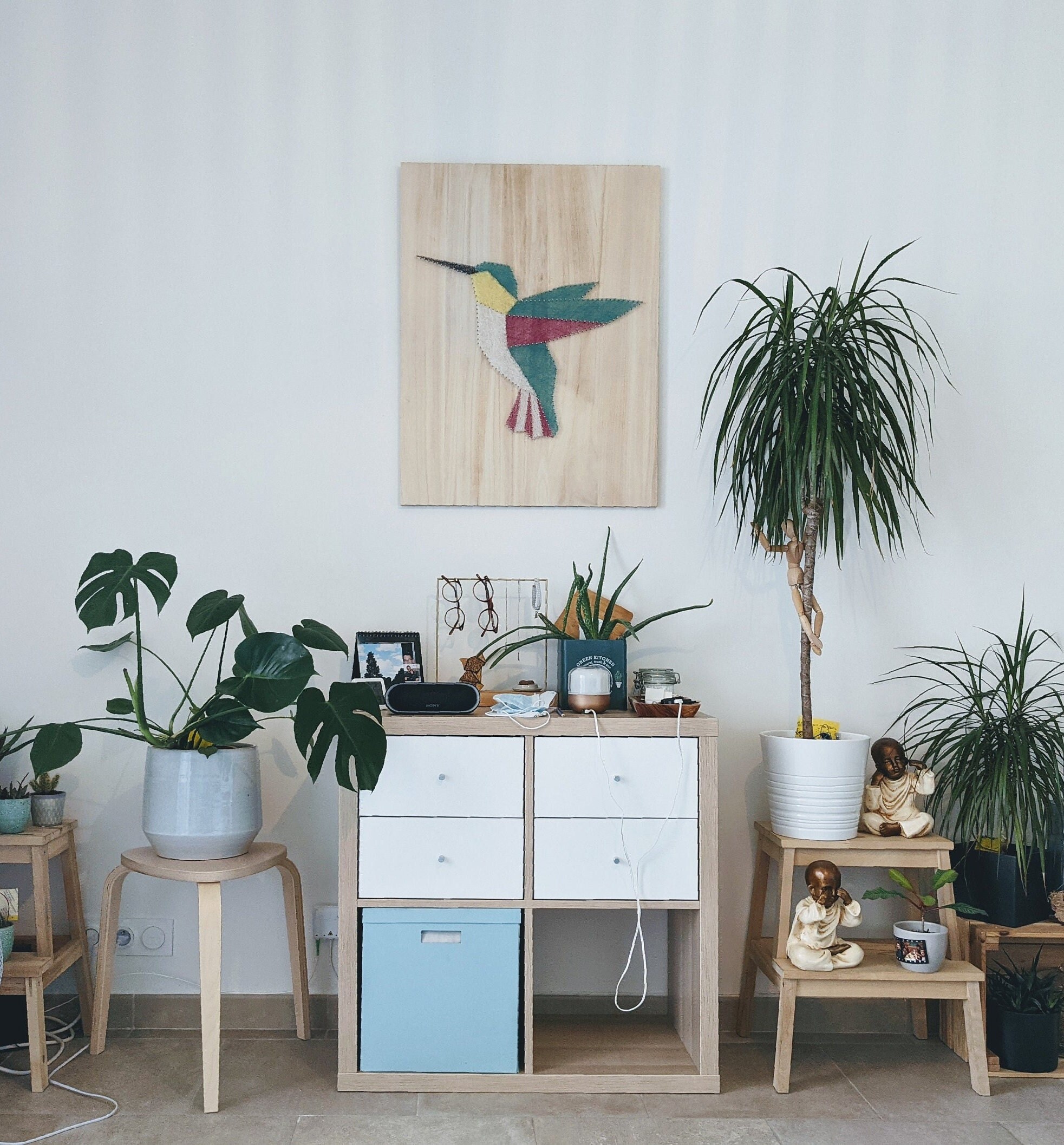 Colibri - Art Des Cordes