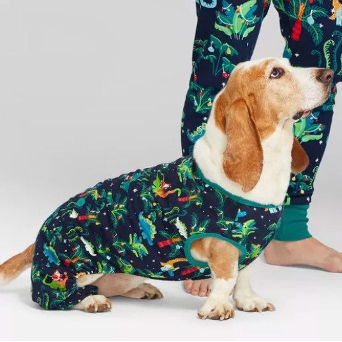 Family Matching Dinosaur Christmas Pyjamas Christmas Pajamas Dog