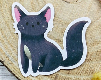 Pegatina de gato negro | Pegatina mágica para Kindle y portátil | Agenda y diario de bruja | Familiar oscuro | Regalo para bruja verde