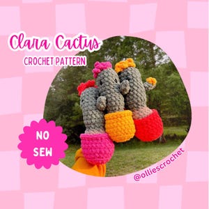 Cactus No Sew Crochet Pattern, No Sew Amigurumi Instructions, Easy Beginner Friendly Pattern, Crochet Market Ideas, Valentine’s Day Gifts