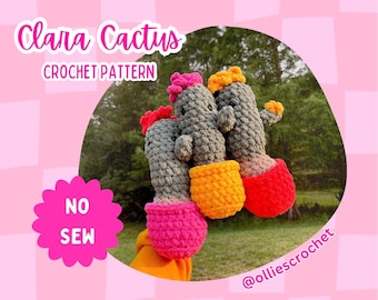 Cactus No Sew-haakpatroon, No Sew-amigurumi-instructies, eenvoudig beginnersvriendelijk patroon, gehaakte marktideeën, Valentijnsdagcadeaus