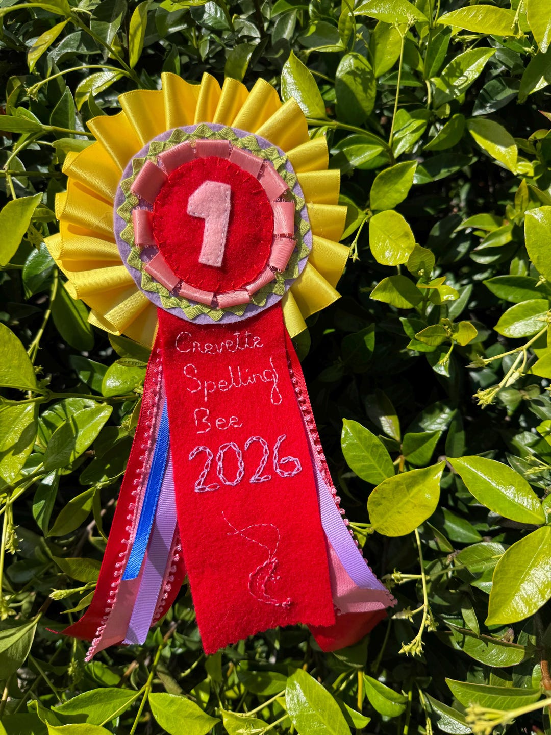 The BIG Custom Felt Ribbon - Etsy
