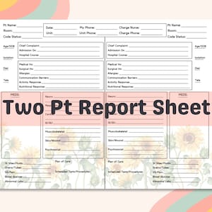 May include: A two-page patient report sheet with a sunflower design. The report includes sections for patient information, medical history, and care plans. The text "Two Pt Report Sheet" is prominently displayed.