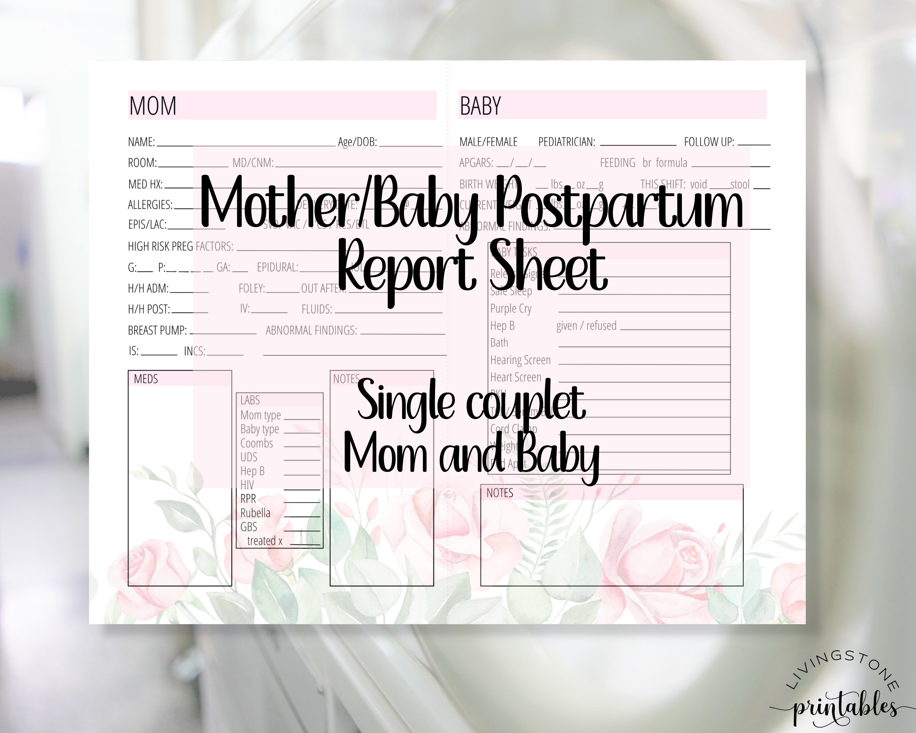 Postpartum Progress Notes.pdf Pink Mother Baby Postpartum Nursing Printable Report Sheet, Mom Baby ...