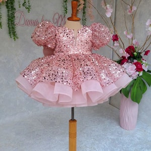 Baby Girl First Birthday, Cake Smash Outfit, Newborn Girl Photoshoot, Baby Tutu Wedding Flower Girl Dress, Puffy Dress, Princess Style Dress