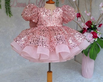 Baby Girl First Birthday, Cake Smash Outfit, Newborn Girl Photoshoot, Baby Tutu Wedding Flower Girl Dress, Puffy Dress, Princess Style Dress