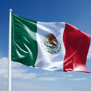 Mexico flag Clipart Set - Mexican waving flag High Resolution PNGs, downloadable files, High Quality, realistic - Bandera de Mexico