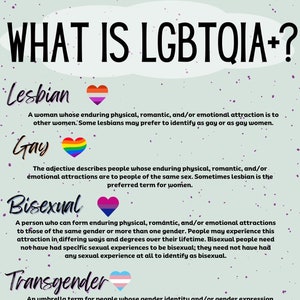Pride Month Infografik Poster, Was ist LGBTQIA+ Infografik, Digitaler Download, PDF Pride Print, Bildungsposter, LGBTQ Poster