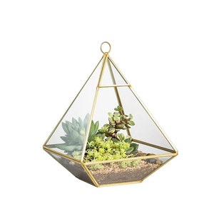 Glass and brass triangle Terrarium FREE SHIPPING