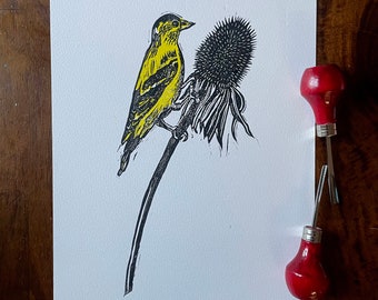 Gold Finch and Coneflower
