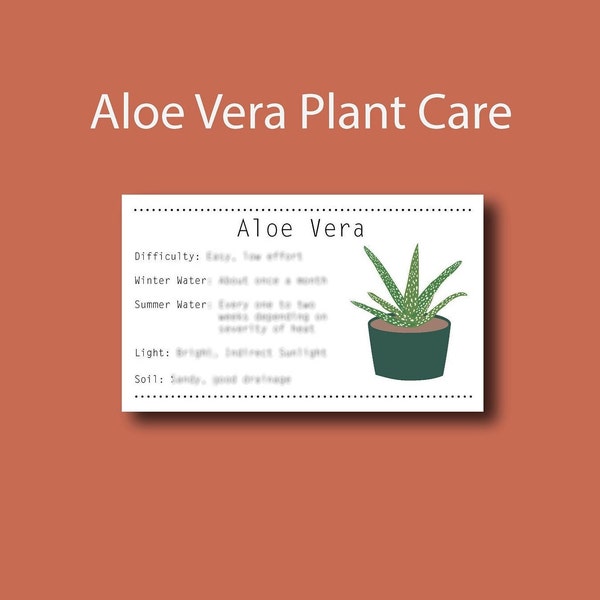 Aloe Vera Plant Care Card, Digital download Infographic, Printable